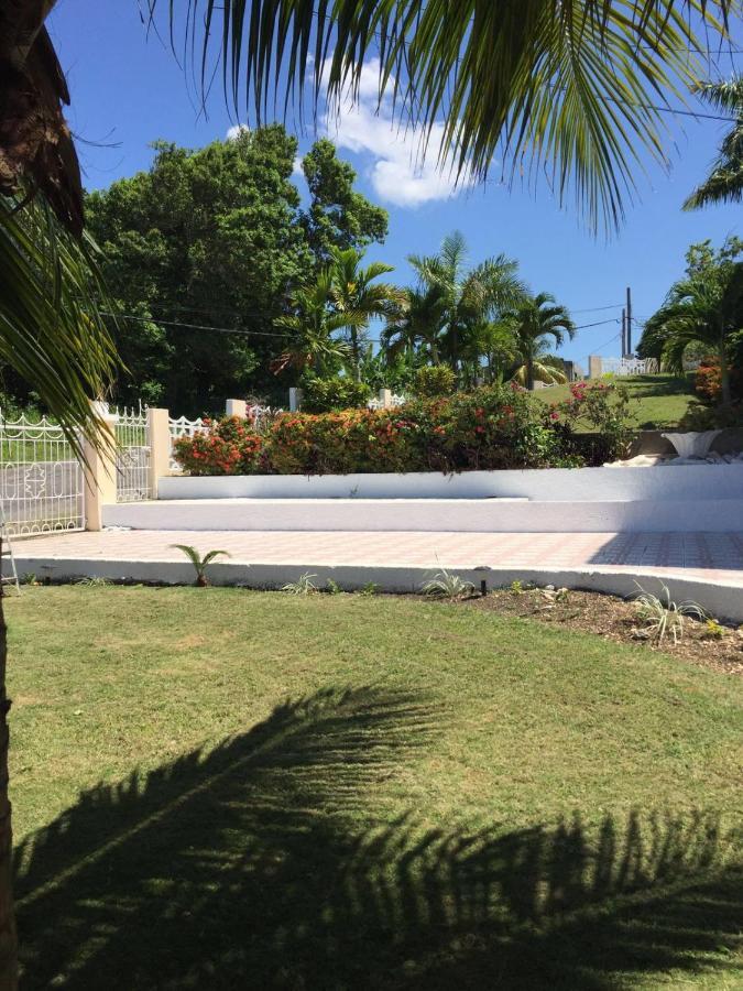 Goldenview Guesthouse Ocho Rios Exterior foto